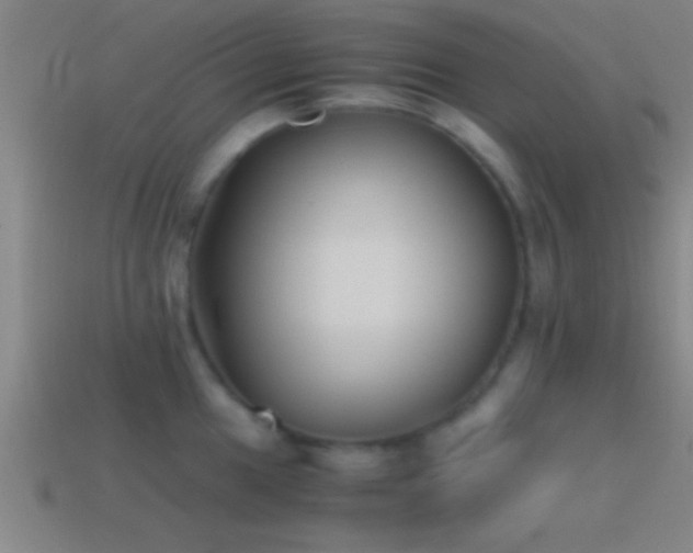 X0000114391049200910161249
