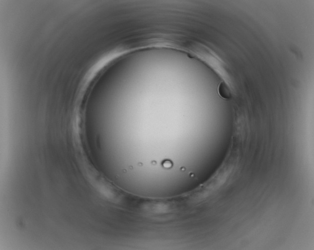 X0000114391051200910161249