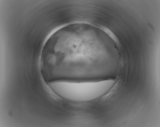 X0000114391052200910161249