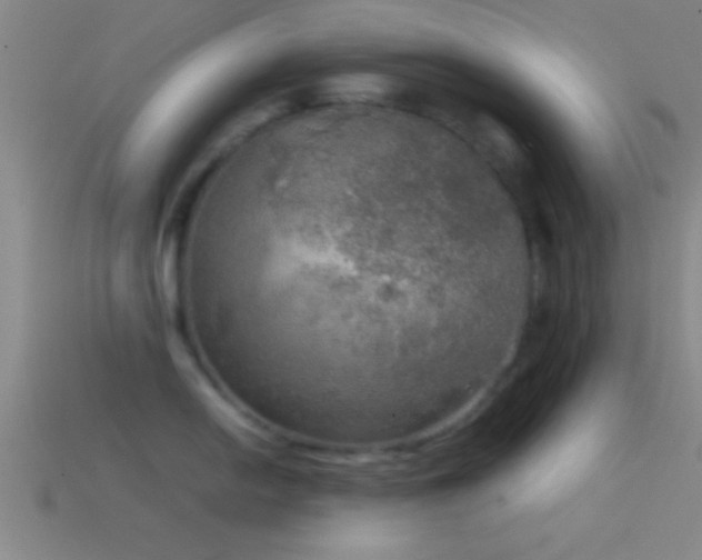 X0000114391054200910161249