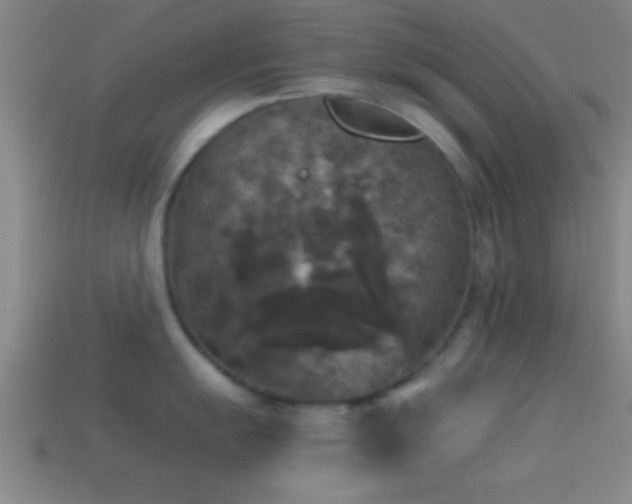 X0000114391055200910161249