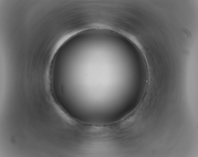 X0000114391056200910161249