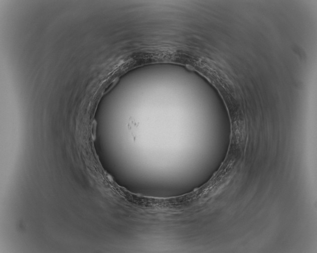 X0000114391057200910161249
