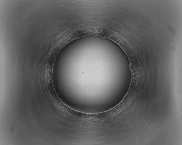 X0000114391058200910161249
