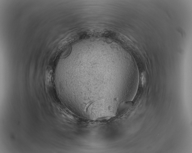 X0000114391059200910161249