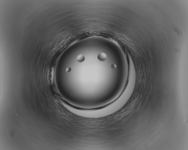 X0000114391060200910161249