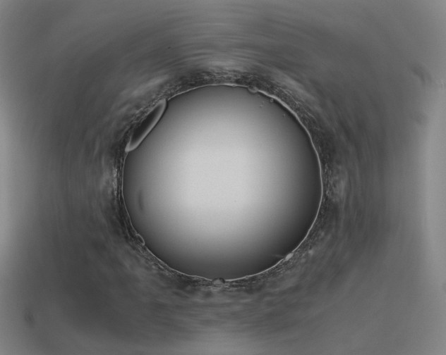 X0000114391061200910161249