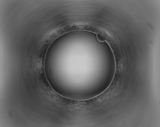 X0000114391062200910161249