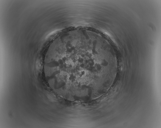 X0000114391063200910161249