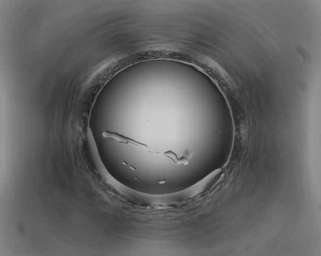 X0000114391064200910161249