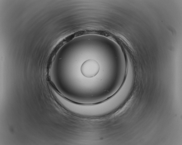 X0000114391065200910161249