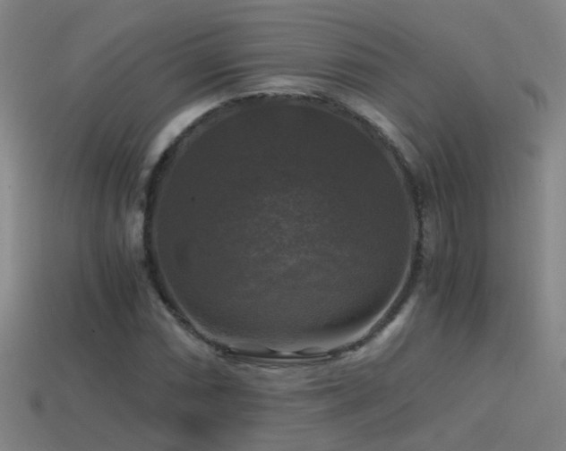 X0000114391066200910161249