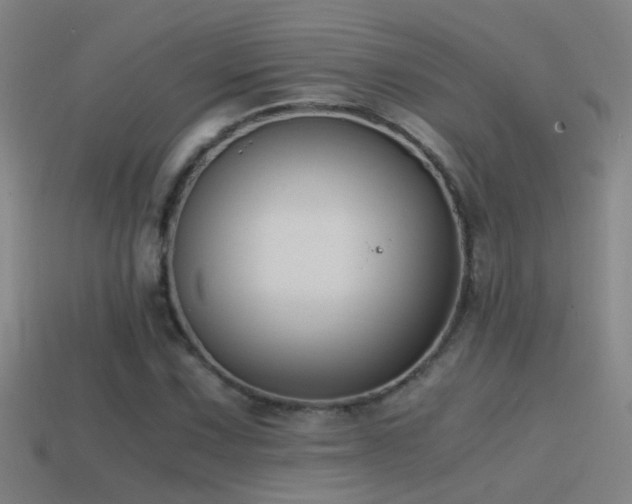 X0000114391067200910161249