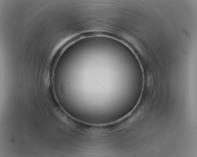 X0000114391069200910161249