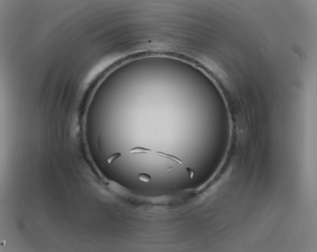 X0000114391070200910161249