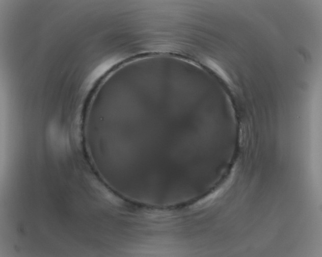 X0000114391071200910161249