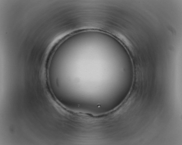 X0000114391072200910161249