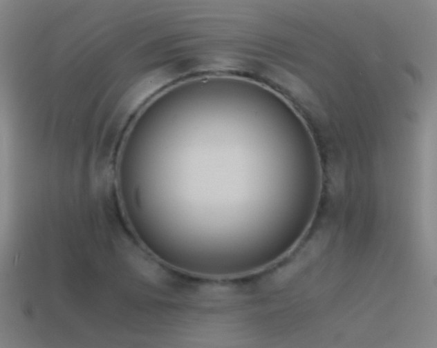 X0000114391073200910161249