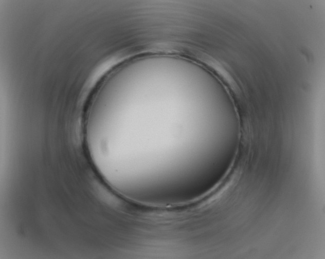 X0000114391075200910161249
