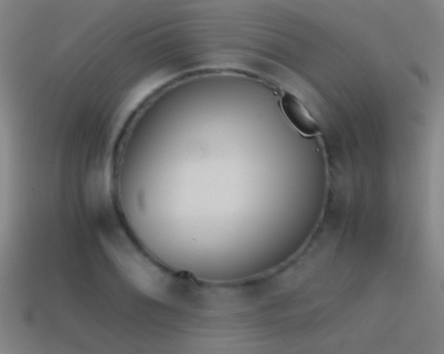 X0000114391076200910161248