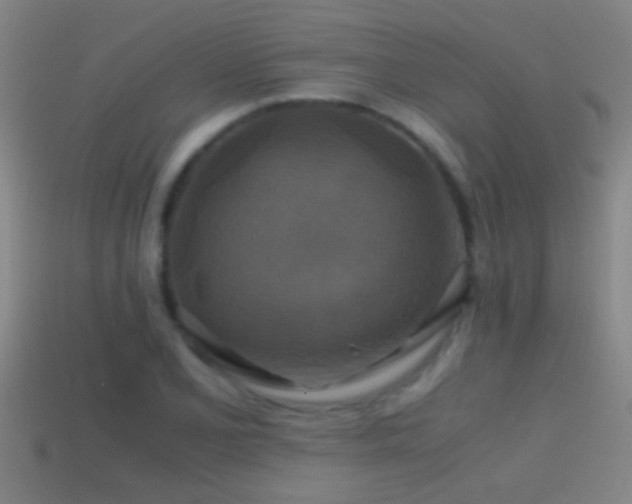 X0000114391077200910161248