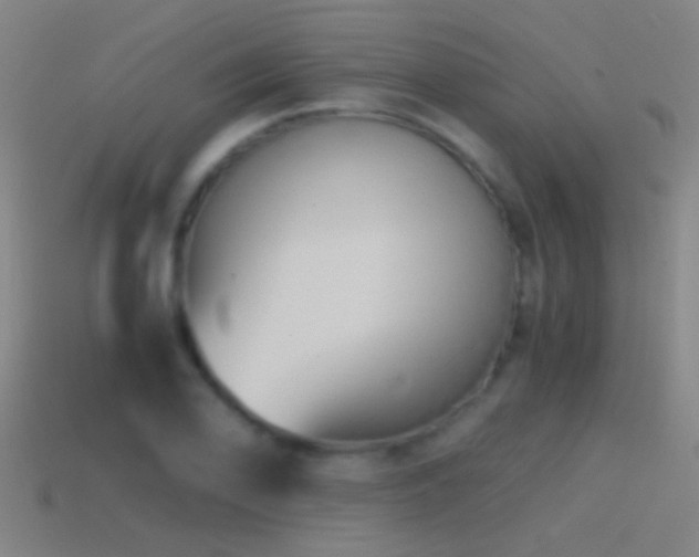 X0000114391078200910161248