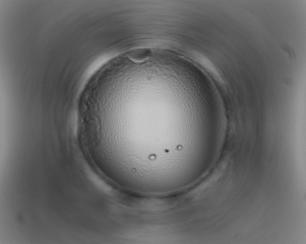 X0000114391079200910161248