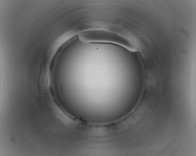 X0000114391080200910161248