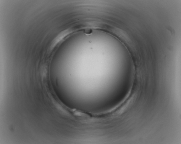 X0000114391081200910161248