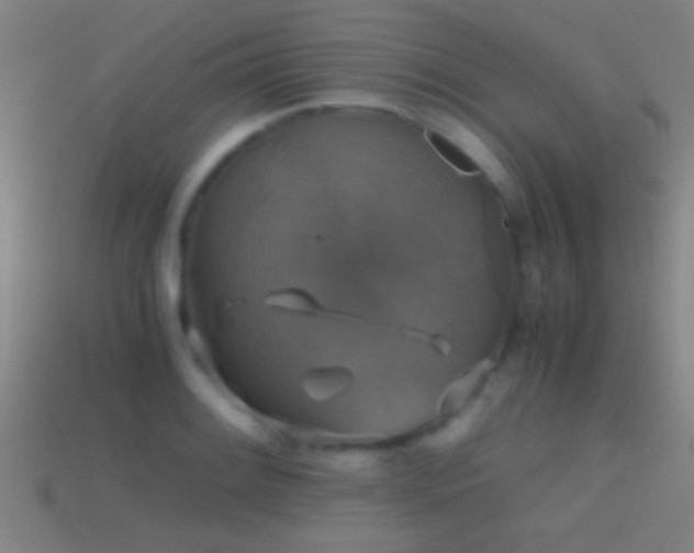 X0000114391084200910161248