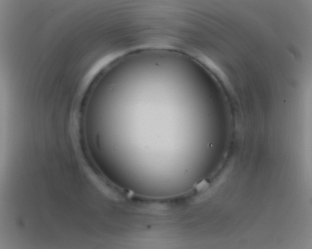 X0000114391085200910161248