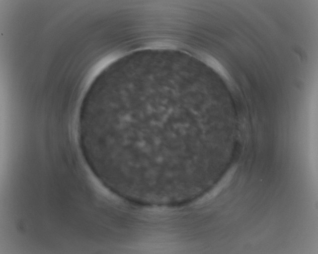 X0000114391087200910161248