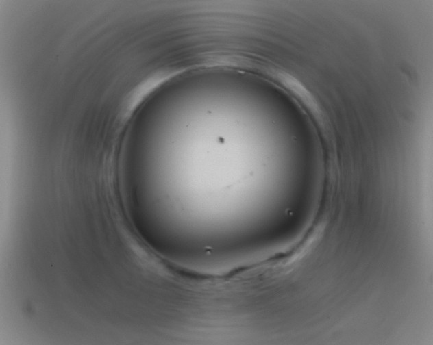 X0000114391089200910161248
