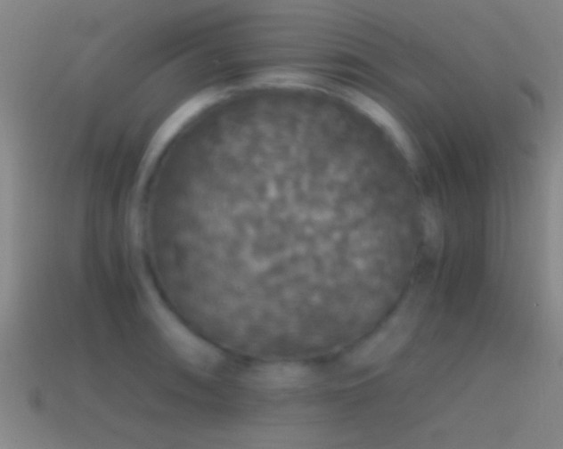 X0000114391090200910161248