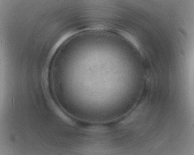 X0000114391091200910161248