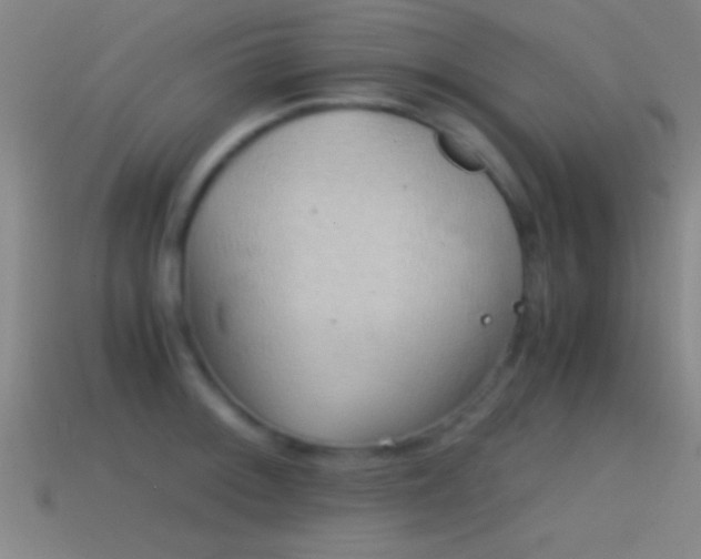 X0000114391092200910161248