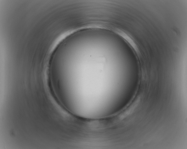 X0000114391093200910161248