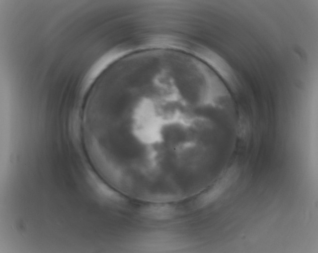 X0000114391094200910161248