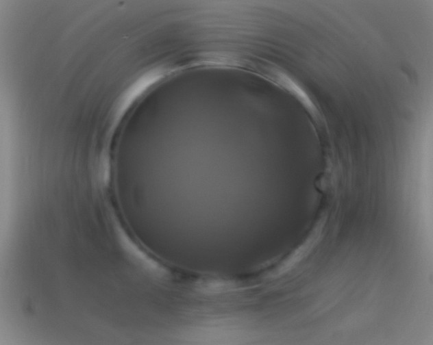 X0000114391095200910161248