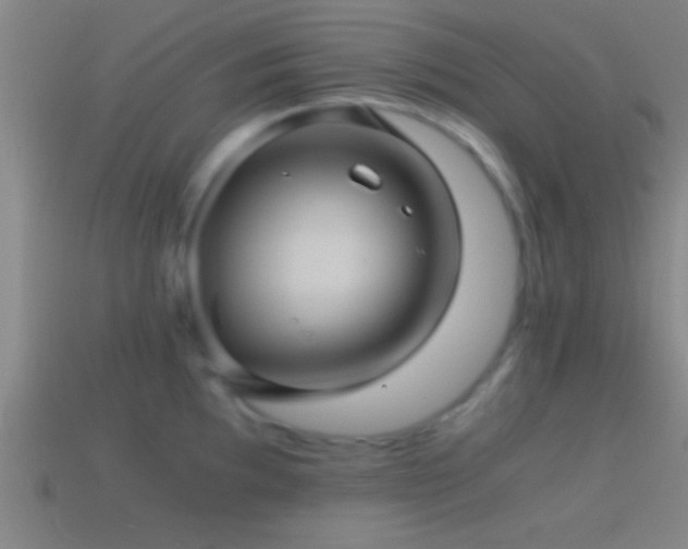 X0000114391097200910161248