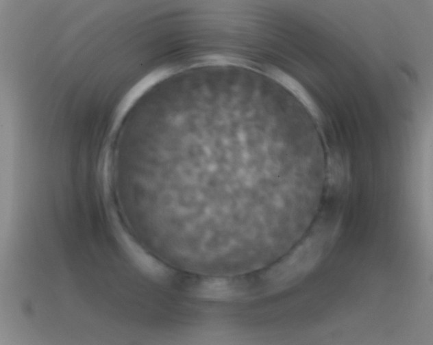X0000114391098200910161248