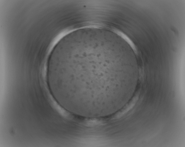 X0000114391099200910161248