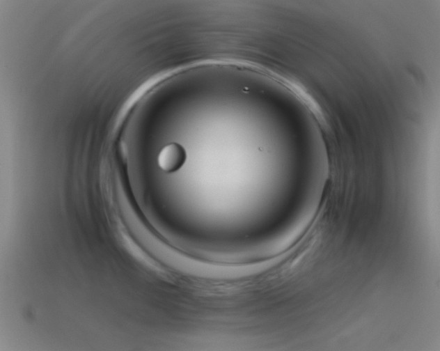 X0000114391100200910161248