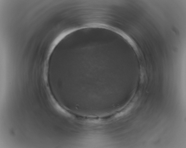 X0000114391102200910161248