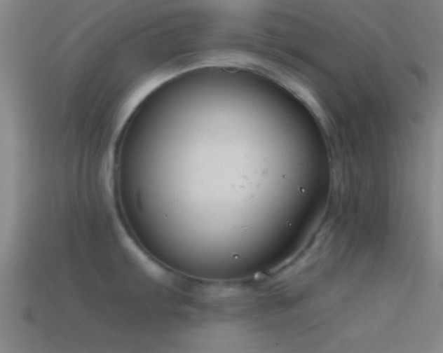 X0000114391103200910161248