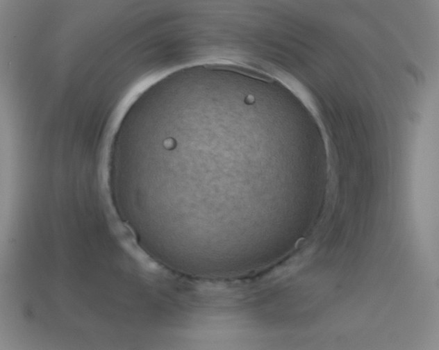 X0000114391104200910161248