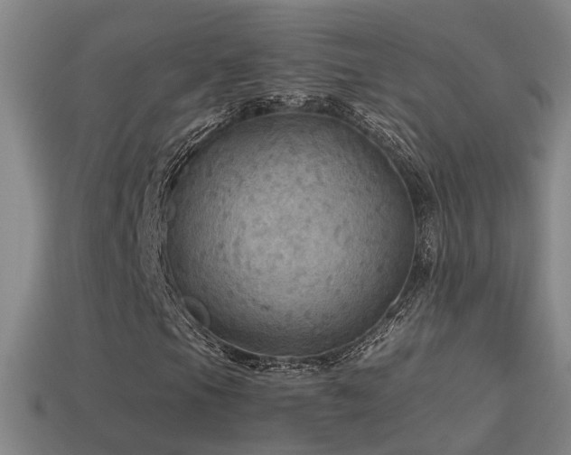 X0000114391105200910161247