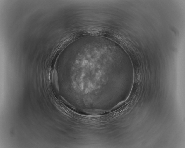 X0000114391106200910161247