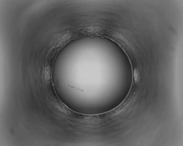 X0000114391107200910161247