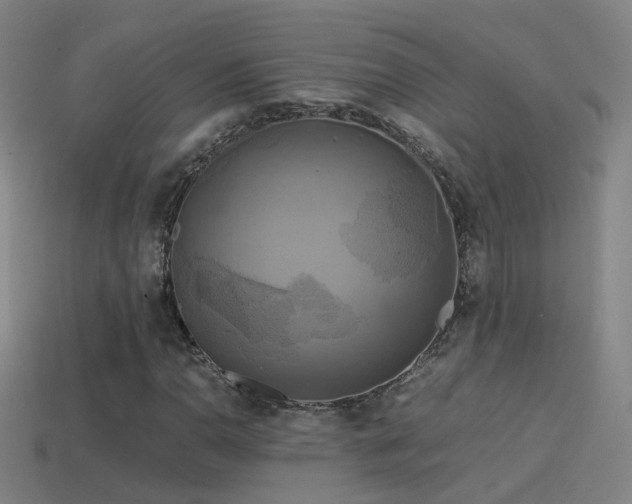 X0000114391110200910161247